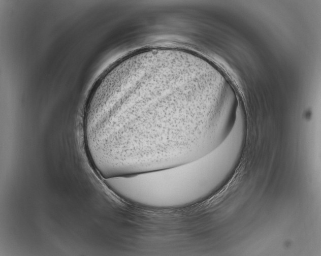 X0000116851384201001121211