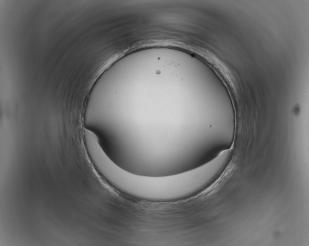 X0000116851385201001121211