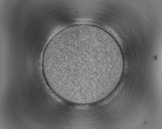 X0000116851386201001121211