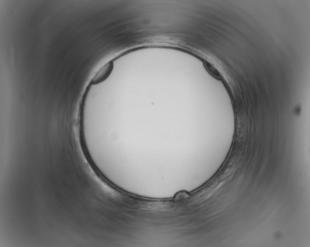 X0000116851387201001121211