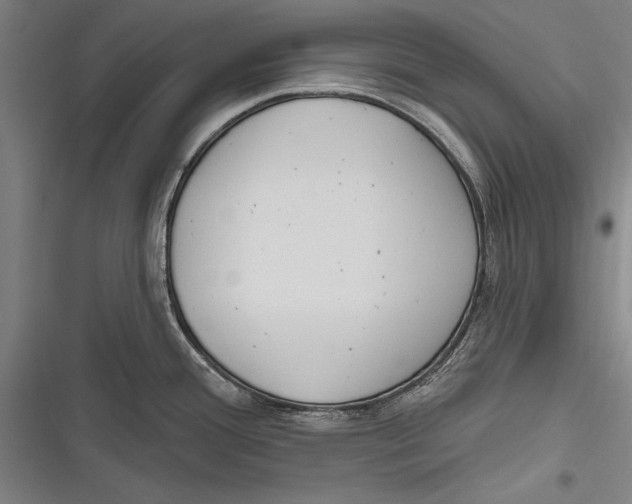 X0000116851388201001121211