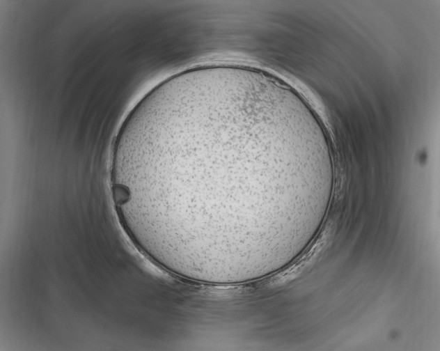 X0000116851390201001121211