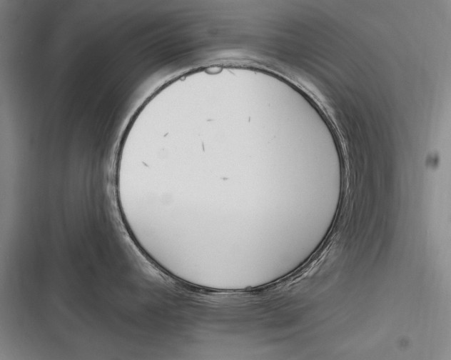 X0000116851392201001121211