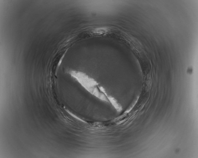 X0000116851394201001121210