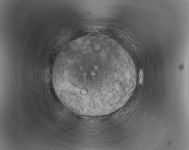 X0000116851395201001121210