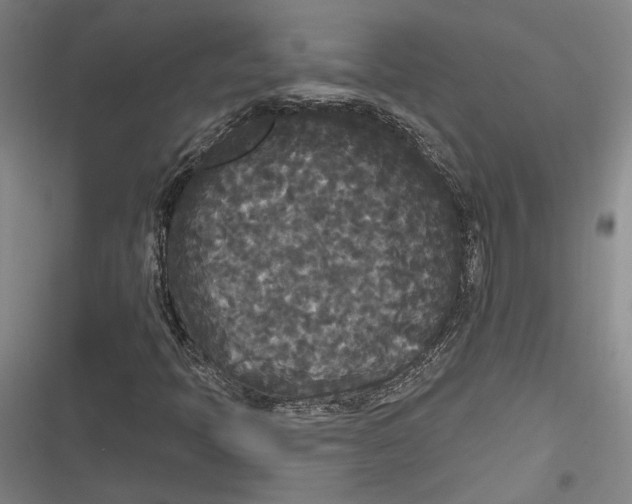 X0000116851397201001121210