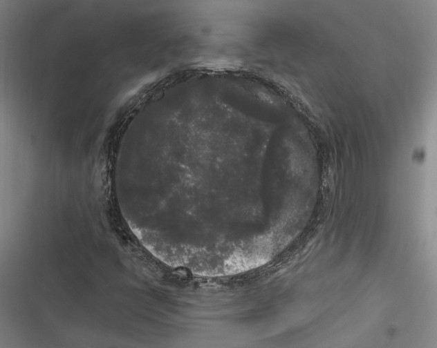 X0000116851398201001121210