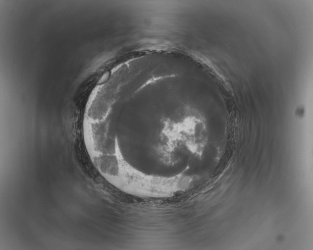 X0000116851399201001121210