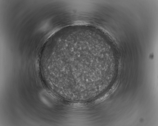 X0000116851401201001121210