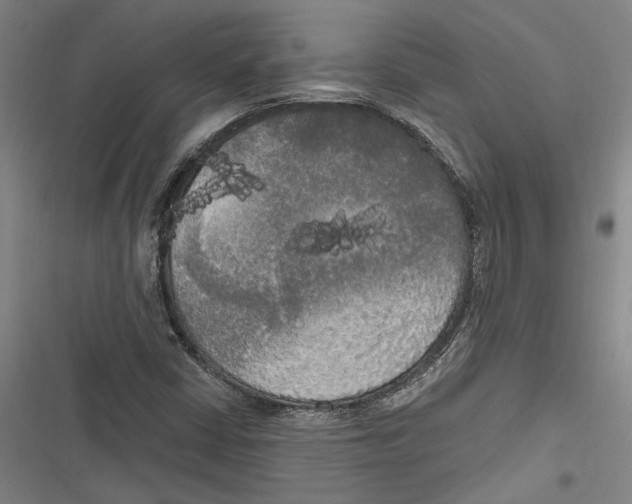 X0000116851402201001121210