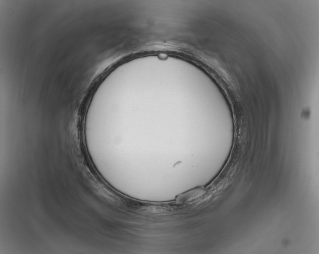 X0000116851404201001121210