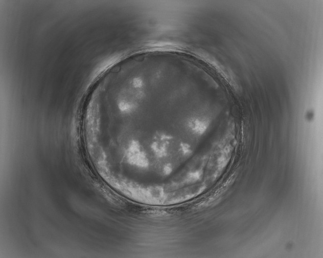 X0000116851405201001121210