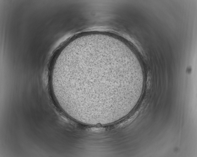 X0000116851406201001121210