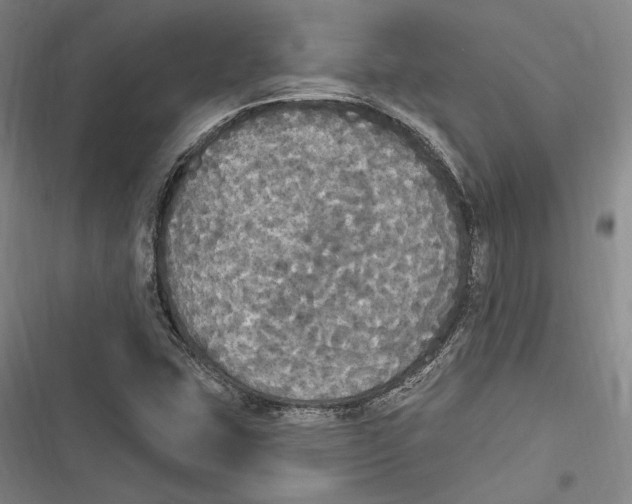 X0000116851407201001121210