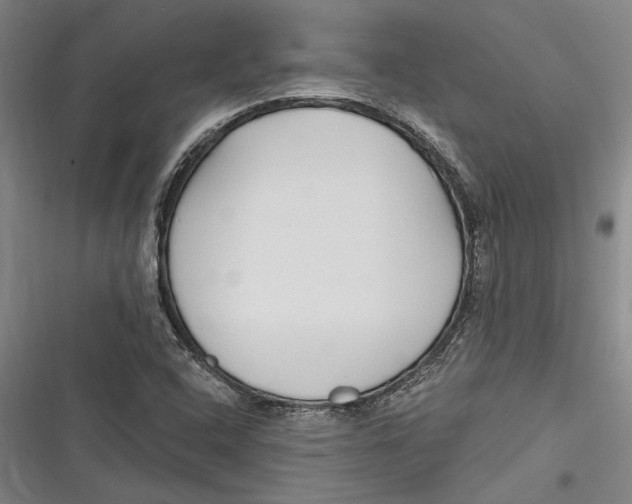 X0000116851408201001121210