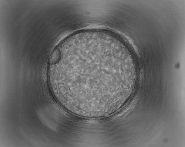 X0000116851409201001121210