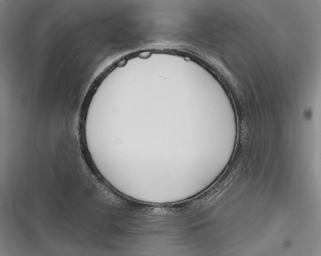 X0000116851412201001121210