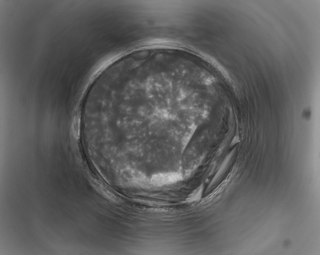 X0000116851413201001121210