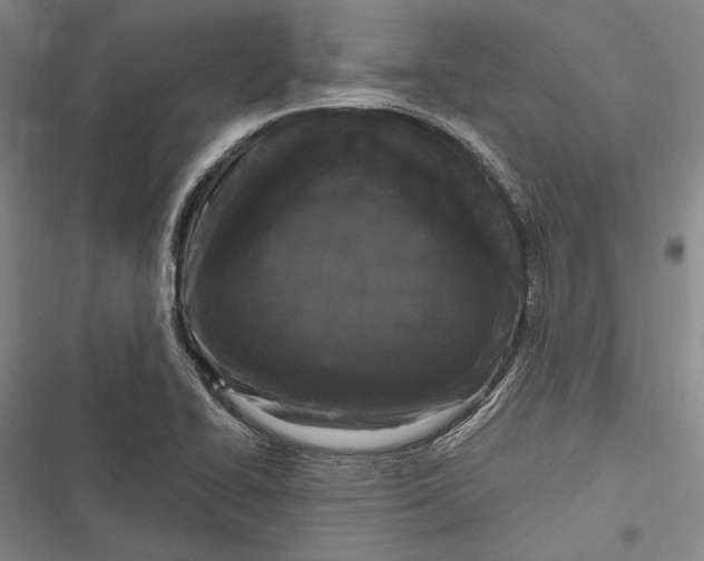 X0000116851414201001121210