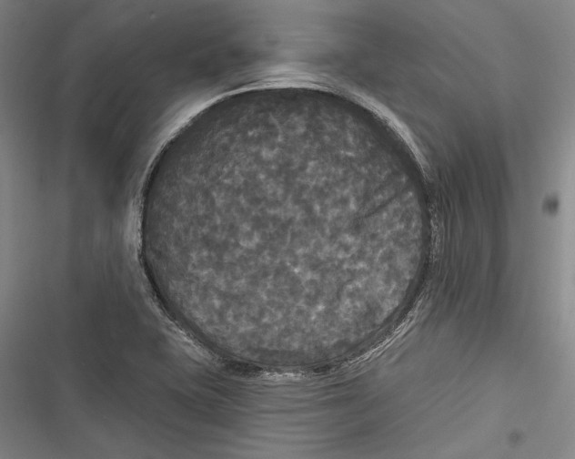 X0000116851415201001121210