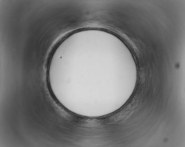 X0000116851416201001121210