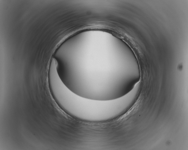 X0000116851417201001121210