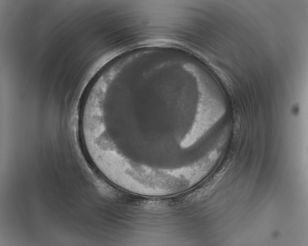 X0000116851418201001121210