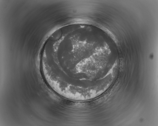 X0000116851419201001121210