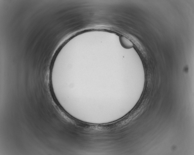 X0000116851420201001121210