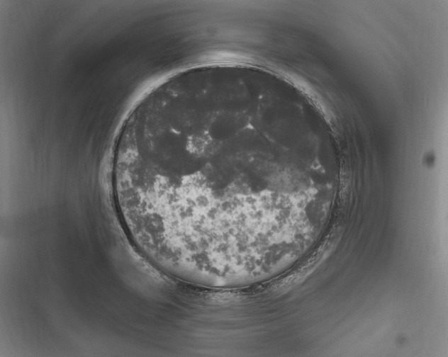 X0000116851421201001121210