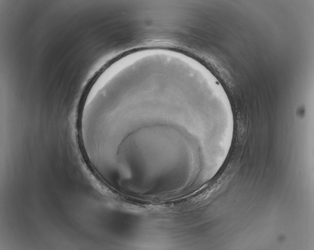 X0000116851422201001121210