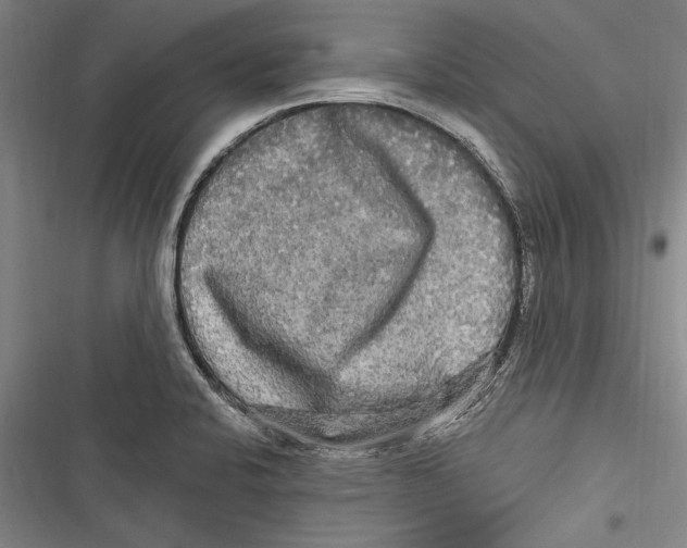 X0000116851424201001121210