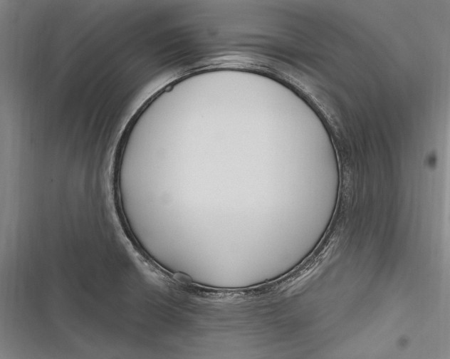 X0000116851426201001121210