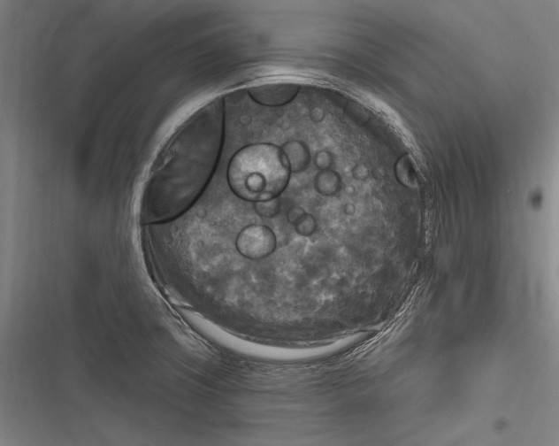 X0000116851427201001121210