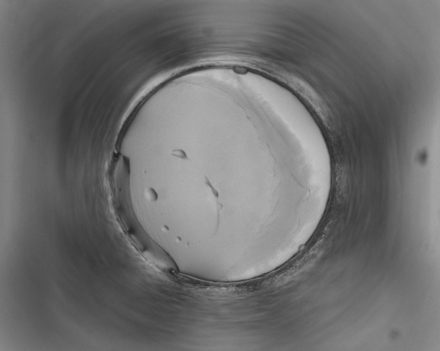 X0000116851428201001121210