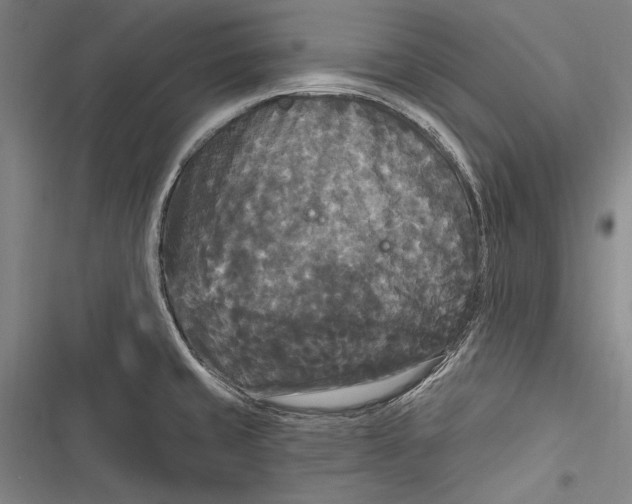 X0000116851429201001121210