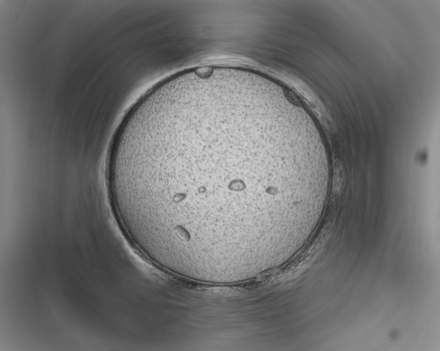 X0000116851430201001121210