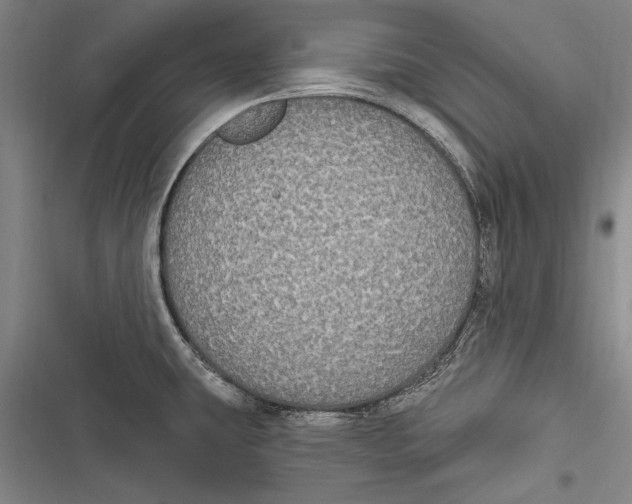 X0000116851431201001121210