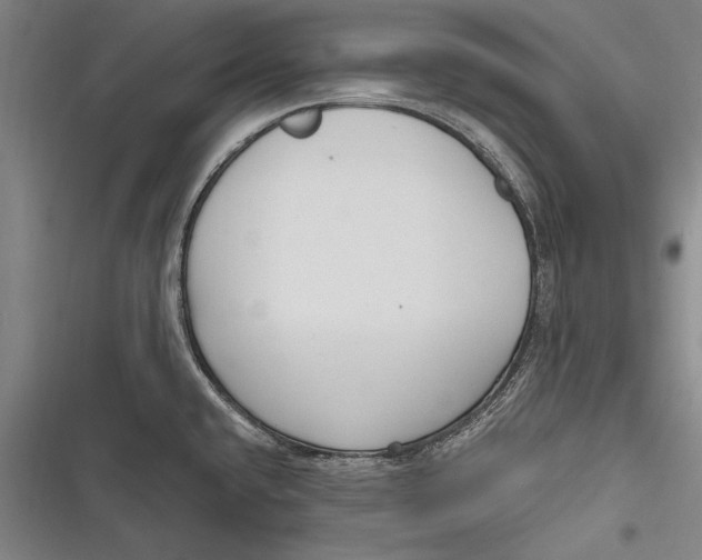 X0000116851432201001121210