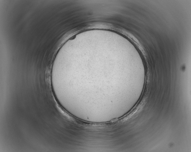 X0000116851433201001121210