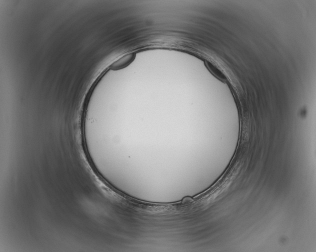 X0000116851434201001121210