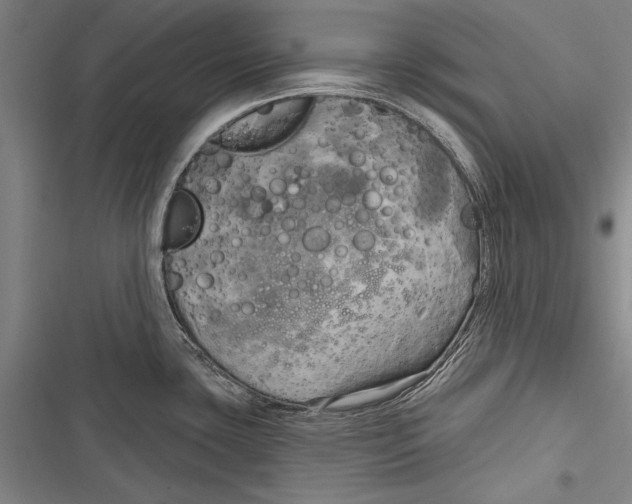 X0000116851435201001121210