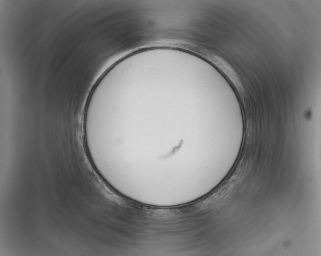 X0000116851436201001121210