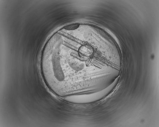 X0000116851437201001121210