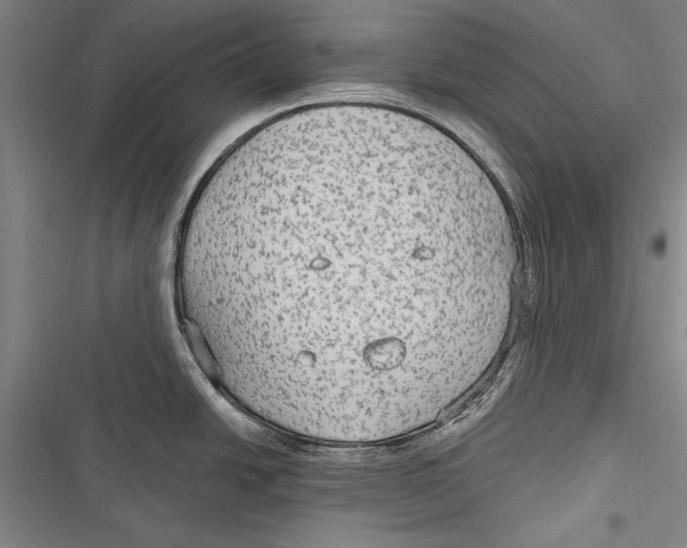 X0000116851438201001121210