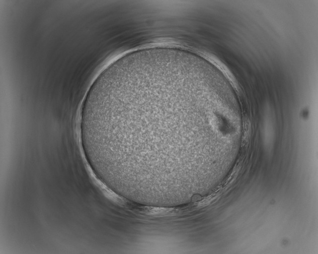 X0000116851439201001121211