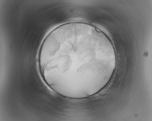 X0000116851440201001121211