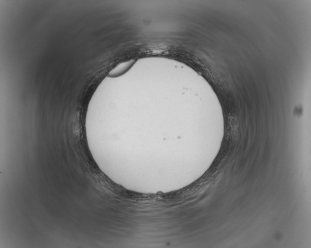 X0000116851442201001121210