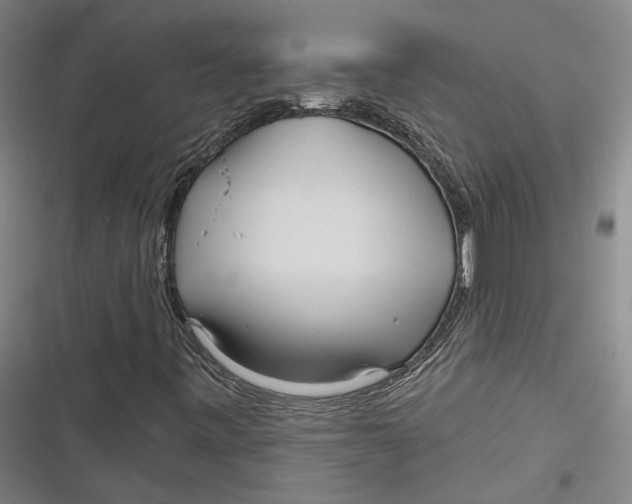 X0000116851443201001121210