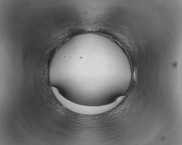 X0000116851444201001121210